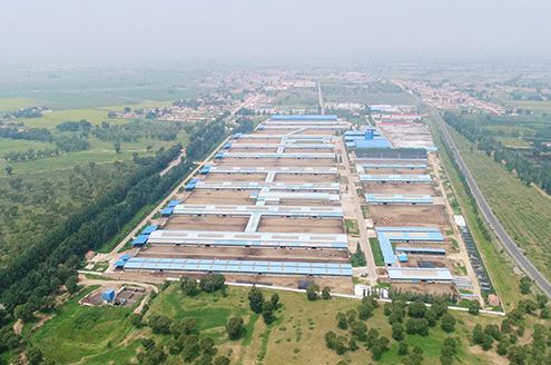 海高牧場(chǎng)